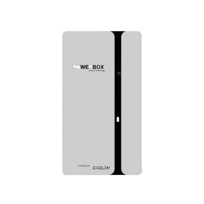 Exelon 48V 200Ah LiFePO4 Lityum Akü Duvar Tipi – 9,6 kWh Enerji Depolama - 1